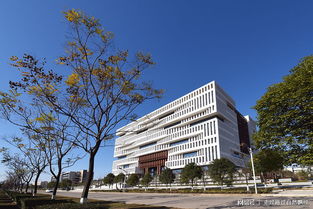 武漢理工大學 vs 西安電子科技大學 建筑工程設計及咨詢領域深度對比