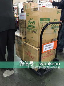 日本正品直郵與現(xiàn)貨 開啟國內(nèi)貿(mào)易代理新機遇
